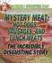 Mystery Meat: Hot Dogs, Sausages, and Lunch Meats: the Incredibly Disgusting Story (Incredibly Disgusting Food)