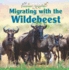 Migrating With the Wildebeest (Animal Journeys)