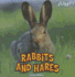 Rabbits and Hares (Jump! )