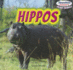 Hippos (Powerkids Readers: Safari Animals)
