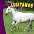 Lusitanos