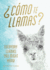 Como Te Llamas? : Everyday Llamas You Might Know