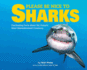 Please Be Nice to Sharks: Fascinating Facts About the Oceans Most Misunderstood Creatures (Volume 1)