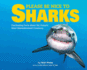 Please Be Nice to Sharks: Fascinating Facts About the Ocean's Most Misunderstood Creatures Volume 1