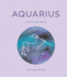 Zodiac Signs: Aquarius