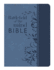 Battlefield of the Mind Bible: Amplified Version, Blue, Euroluxe, Fashion Edition, Renew Your Mind Through the Power of God's Word