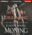 Into the Dreaming