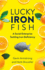 Lucky Iron Fish: a Social Enterprise Tackling Iron Deficiency