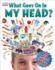 What Goes on in My Head? (Big Questions)