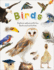 Birds: Explore Nature With Fun Facts and Activities (Nature Explorers)