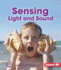 Sensing Light and Sound