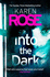 Into the Dark (the Cincinnati Series Book 5) (Cincinnati 5)