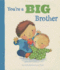 You'Re a Big Brother (Picture Books)