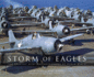 Storm of Eagles: the Greatest Aerial Photographs of World War II: the Greatest Aviation Photographs of World War II (Hardback Or Cased Book)