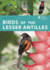 Birds of the Lesser Antilles Format: Paperback