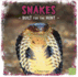 Snakes: Built for the Hunt (Predator Profiles)
