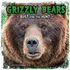 Grizzly Bears: Built for the Hunt (First Facts: Predator Profiles)
