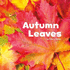 Autumn Leaves (Celebrate Autumn)