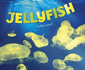 Jellyfish (Sea Life)