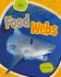 Food Webs (Life Science Stories)