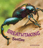 Marvellous Minibeasts! : Breathtaking Beetles