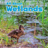 Habitats: All About Wetlands