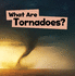Wicked Weather: What Are Tornadoes?