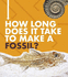 How Long Does It Take? : How Long Does It Take to Make a Fossil?