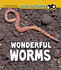 Wonderful Worms (Insect Explorer)