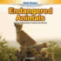 Endangered Animals: Develop Understanding of Fractions and Numbers (Math Masters: Number and Operations and Fractions)