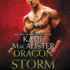 Dragon Storm (Dragon Falls Series, Book 2)