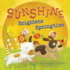 Sunshine Brightens Springtime (Nonfiction Picture Books Springtime Weather Wonders)