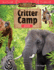 Amazing Animals-Critter Camp-Division