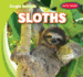 Sloths (Jungle Animals, 6)