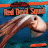 Red Devil Squid (Bad to the Bone: Nastiest Animals)