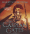 The Caspian Gates: Warrior of Rome, Book IV (Warrior of Rome Series, Book 4)