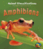 Amphibians