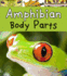 Amphibian Body Parts (Heinemann Read & Learn; Animal Body Parts)