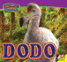 Dodo (Extinct Animals)