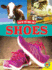 Shoes (How Do They Make That? )