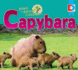 Capybara (Animals of the Amazon Rainforest)