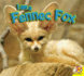 I Am a Fennec Fox