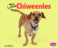 You'Ll Love Chiweenies (Favorite Designer Dogs)