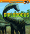 Diplodocus (Smithsonian Little Explorer)
