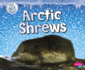 Arctic Shrews (Ice Age Animals)