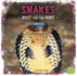 Snakes: Built for the Hunt (First Facts: Predator Profiles)