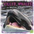 Killer Whales: Built for the Hunt (First Facts: Predator Profiles)