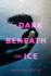 The Dark Beneath the Ice