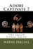 Adobe Captivate 7: the Quick Visual Guide