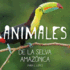 Animales De La Selva Amazonica: Infantales Livre (1) (Spanish Edition)